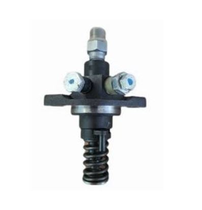 Einspritzpumpe LCS Dieselmotor TM703,Classic MP601,Calessino