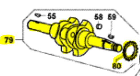 Kurbelwelle LCS Dieselmotor